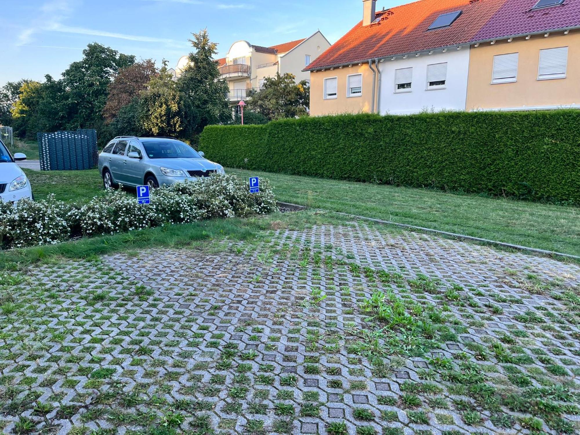Gemuetliche Wohnung Am Muellerring ไลป์ซิก ภายนอก รูปภาพ
